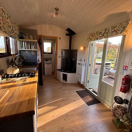 Bed and Breakfast Bron Hafren Montgomery Exteriér fotografie