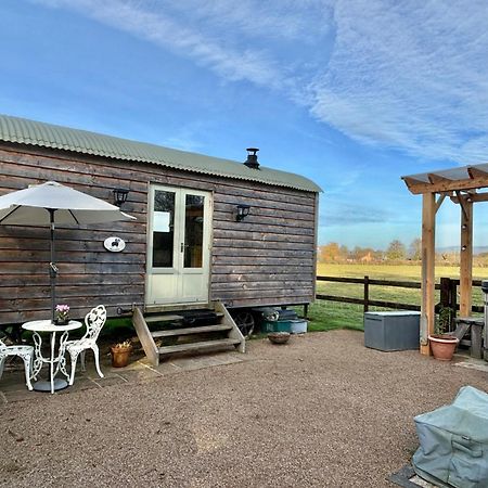 Bed and Breakfast Bron Hafren Montgomery Exteriér fotografie