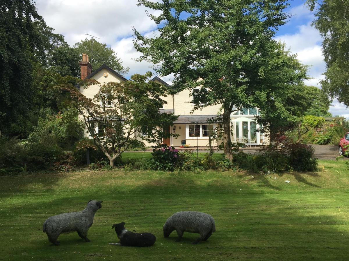 Bed and Breakfast Bron Hafren Montgomery Exteriér fotografie